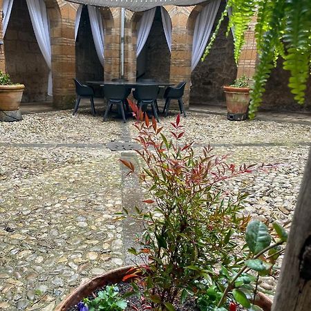 Orvieto: Spacious 3Br 3Ba Apartment With Balcony & Patio Eksteriør bilde
